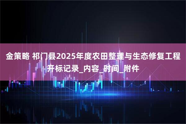 金策略 祁门县2025年度农田整理与生态修复工程开标记录_内容_时间_附件