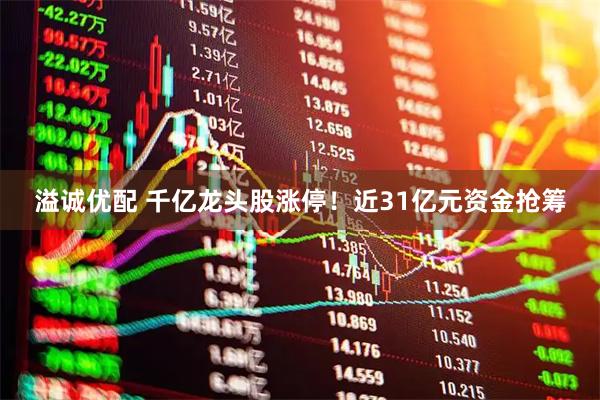 溢诚优配 千亿龙头股涨停！近31亿元资金抢筹