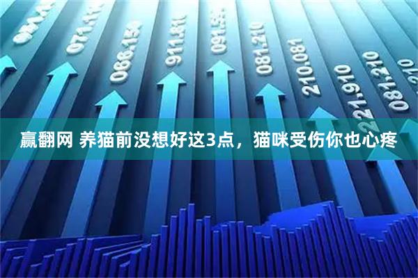 赢翻网 养猫前没想好这3点，猫咪受伤你也心疼