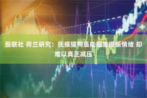 股联社 荷兰研究：抚摸猫狗虽能短暂提振情绪 却难以真正减压