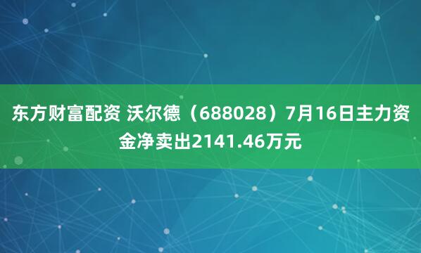 东方财富配资 沃尔德（688028）7月16日主力资金净卖出2141.46万元