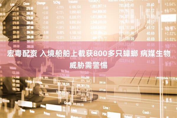 宏粤配资 入境船舶上截获800多只蟑螂 病媒生物威胁需警惕